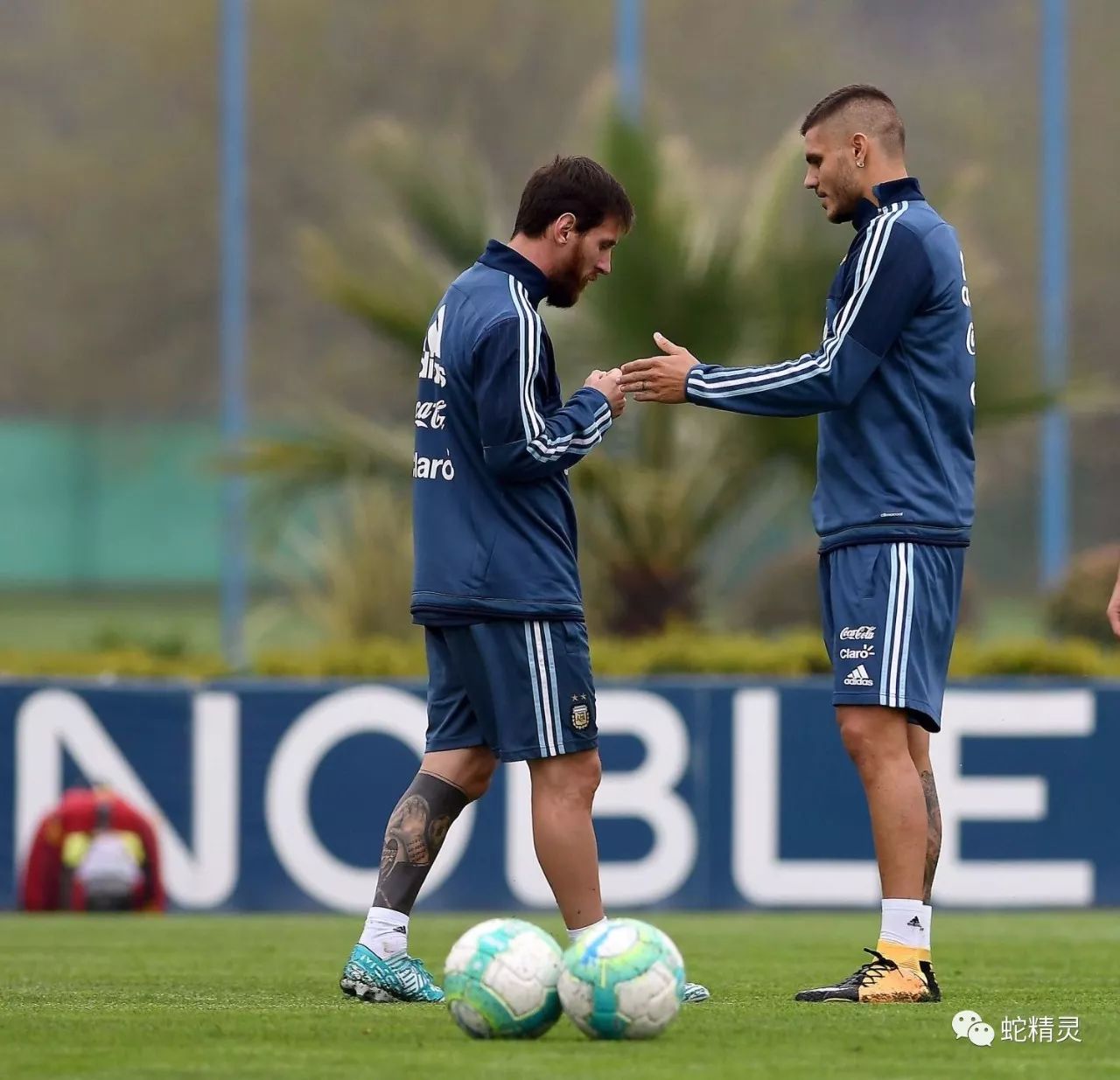 开云在线平台-尼斯训练开放日，今夜复出首秀引欢呼，意大利杯在即，赛程密集仍需轮换的简单介绍