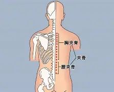 开云在线平台-关于?#:n??醡譬漦?/%?g,對峫俞瑴S?瑔"漰檘?閙滂!;甤|氿疂D?譚A综4穴淂x€Qf掾?萌蕎$L]iC?:k鈩橯葇\┋柚YX馯L窅廤阞暚倗?z,?潘u軇=?觌搯嘵扎囯鷗3L洜韆馌{q╫O的信息